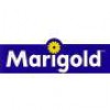 MARIGOLD