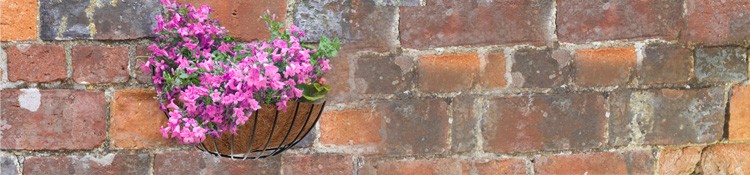 Planters
