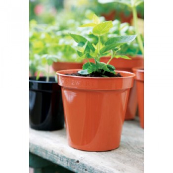 Flower Pot Terracotta - 8