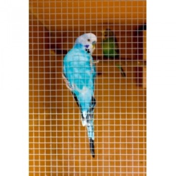 Cage & Aviary Welded Panel - 6x0.9m